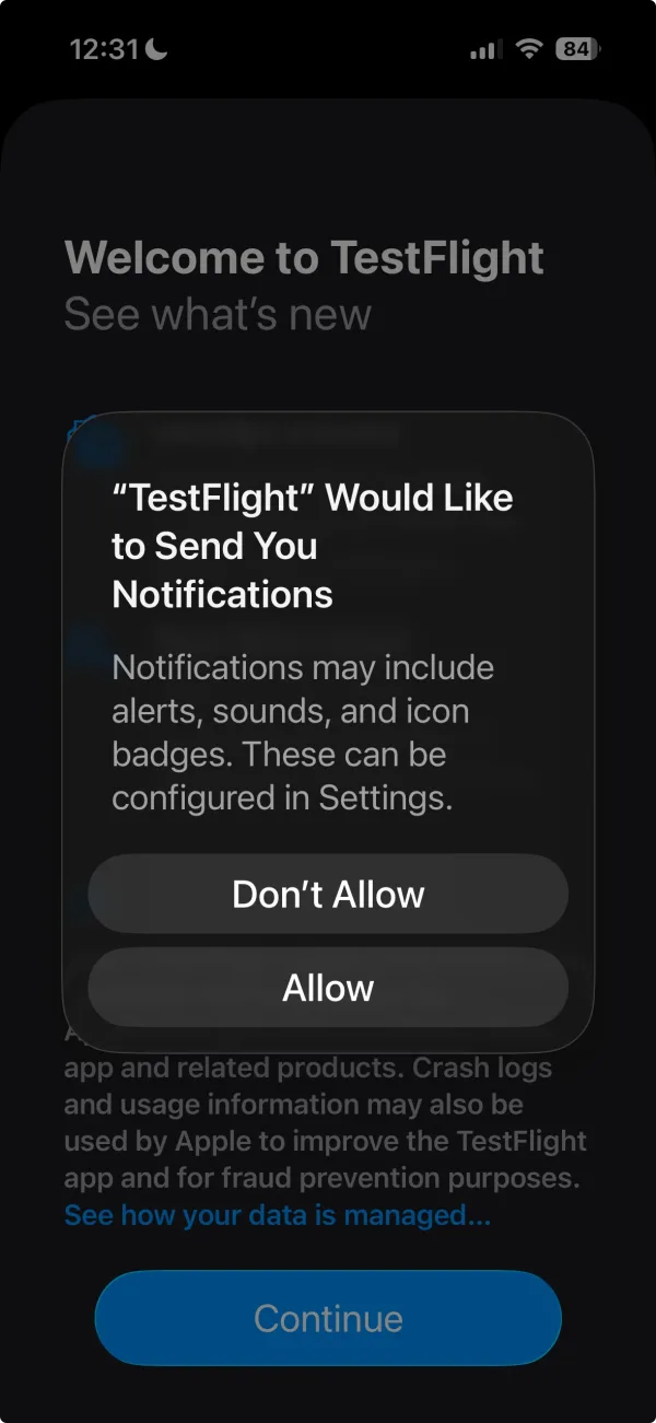 TestFlight asking permission to send notifications.
