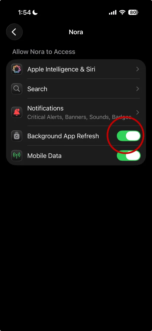 iPhone Settings for Nora, with Background App Refresh switched on.